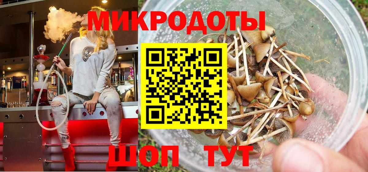 Галлюциногенные грибы прущие грибы Кызыл